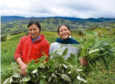 Dos personas, una con chamarra roja y otra con suéter gris, sostienen ramas verdes en un campo con montañas al fondo.