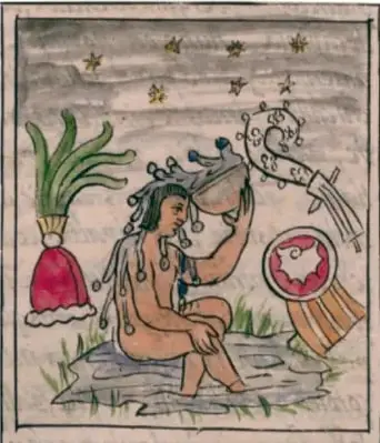 Ilustración de un personaje sentado junto a plantas medicinales, con un recipiente y un escudo, estilo códice.