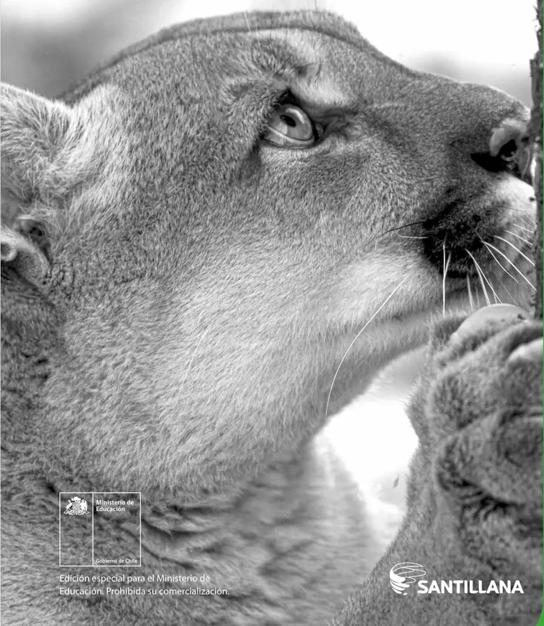 Fotografía en blanco y negro de un puma (Puma concolor) en primer plano de perfil; se observan detalle del ojo, la nariz y las vibrisas. Ocupa casi toda la portada.