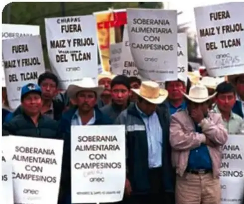 Fotografía de una movilización contra la Reforma Energética con pancartas que dicen 'No a la privatización', 'Acapulco presente' y '37 aniversario'.