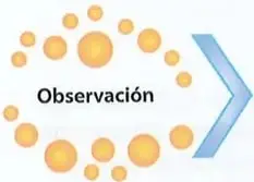 Figura 2 de Ciencias Naturales 10° · 2025