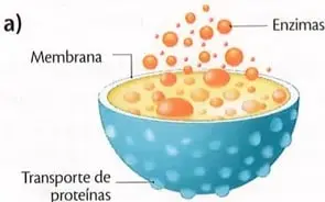 Figura 3 de Ciencias Naturales 9° · 2025