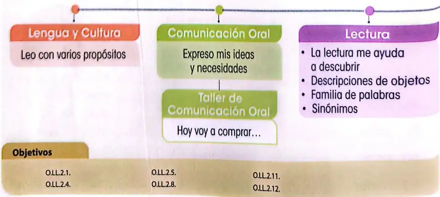 Esquema de la ruta de aprendizaje de la unidad con los componentes Lengua y Cultura, Comunicación Oral, Taller de Comunicación Oral y Lectura.