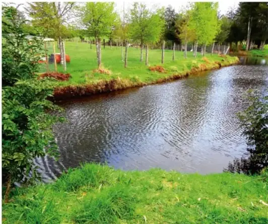 Fotografía de un paisaje con un río, árboles y pastizales verdes, posiblemente representando un entorno natural.