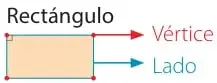 Zona punteada para dibujar figuras y cuatro figuras para pintar: rectángulo, círculo, cuadrado y triángulo.