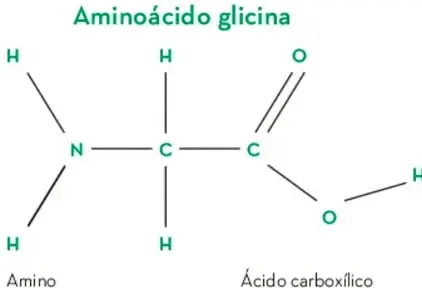 Fórmula estructural del aminoácido glicina, con grupo amino ($-NH_{2}$) y grupo ácido carboxílico ($-COOH$) unidos al carbono central.