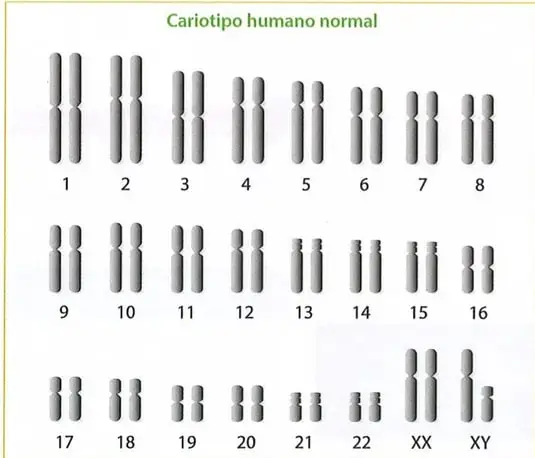 Figura 3 de Ciencias Naturales 9° · 2025