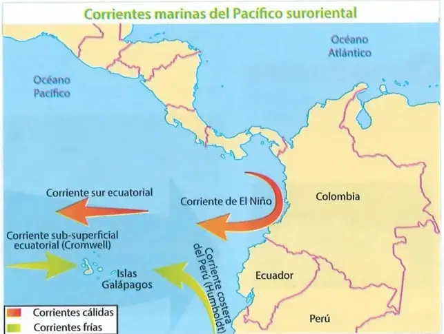 Figura 2 de Ciencias Naturales 9° · 2025