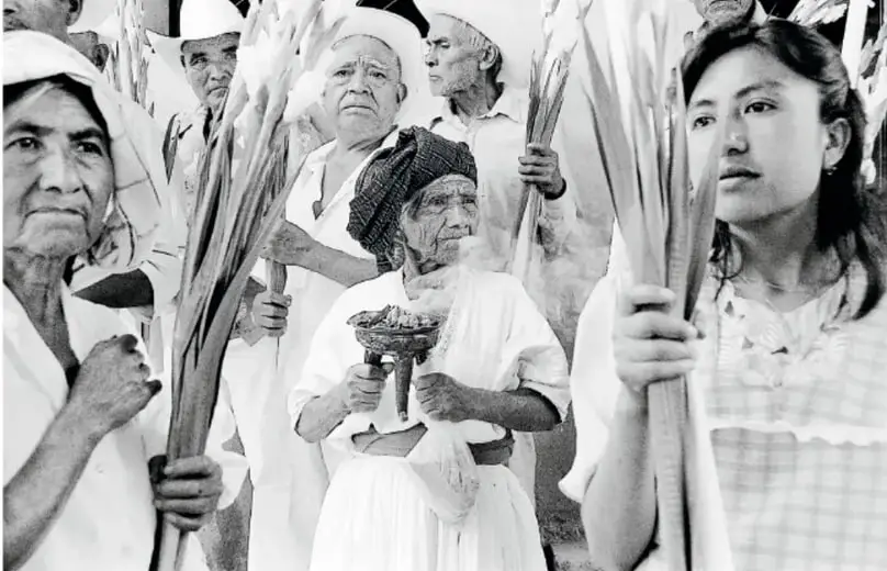 Fotografía en blanco y negro de un grupo de mujeres indígenas en procesión; sostienen palmas y un recipiente con ofrendas; destacan rostros de una mujer mayor con rebozo, una anciana con sombrero y una joven.