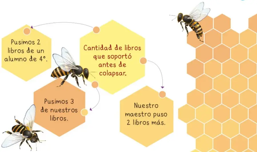 Figura 1 de Proyectos Escolares.   Libro de Educación Primaria Grado 2°  Ciclo Escolar 2025 - 2026