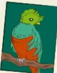 Ilustración de un ave verde y anaranjada posada sobre una rama.