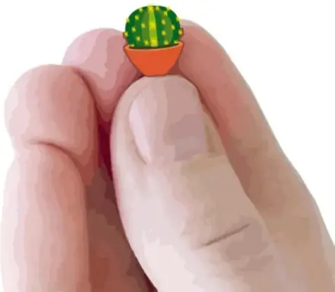 Ilustración de un cactus columnar grande con dos tallos, costillas verticales y espinas amarillas, sobre manchas azul claro y suelo café.