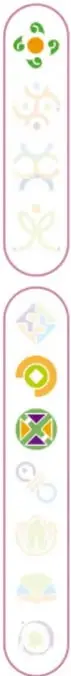 Ilustración estilizada de un ajolote en color gris con detalles naranjas.