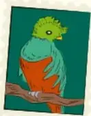 Ilustración de un perico o loro posado en una rama.