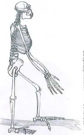 Figura 2 de Estudios Sociales 8° · 2025