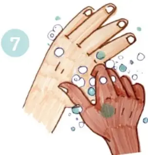 Ilustración de un pulgar siendo frotado con movimiento circular por la palma opuesta, paso 7.