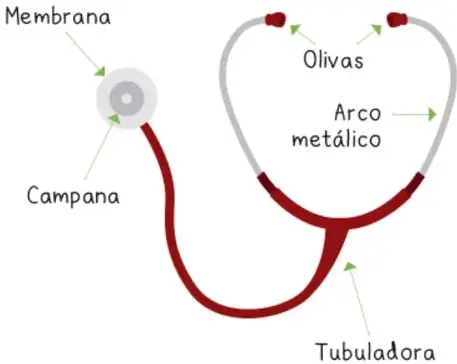 Esquema de un estetoscopio con sus partes señaladas: membrana, campana, olivas, arco metálico y tubuladora.