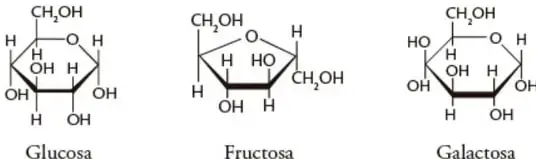 Estructuras moleculares en forma de anillo de glucosa, fructosa y galactosa (monosacáridos).