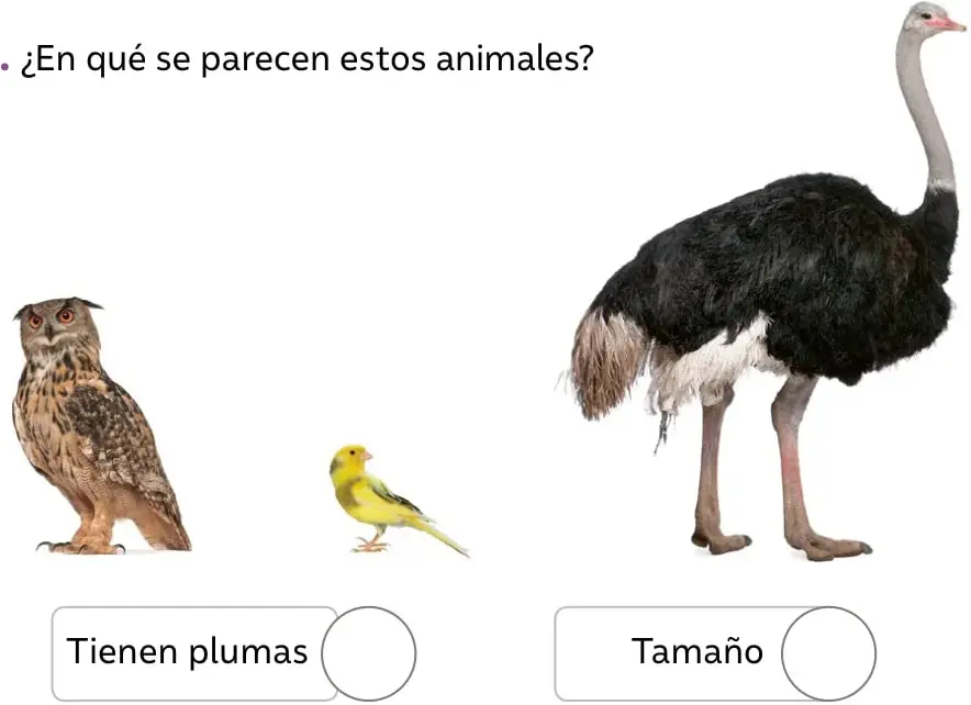 Búho posado, con plumaje café moteado y ojos grandes.