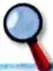 Recuadros de trabajo colaborativo, diversidad funcional y sugerencias para investigar.