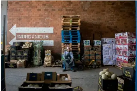 Fotografía de una bodega o almacén con cajas de productos apiladas y una flecha rotulada 'INORGÁNICOS', representando el entorno de almacenamiento de alimentos.