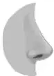 Nariz de perfil, órgano del olfato.