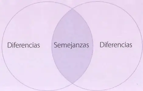 Figura 2 de Lengua y Literatura 7° · 2025