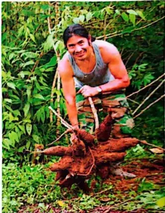 Imágenes de productos agrícolas, entre ellos cacao y banano.