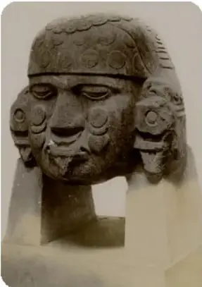 Fotografía de una cabeza de piedra tallada, identificada como la Coyolxauhqui.