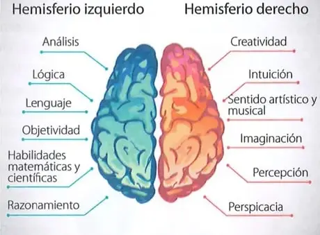 Diagrama de los hemisferios cerebrales izquierdo y derecho, con habilidades asociadas como análisis, lógica, lenguaje, creatividad, intuición e imaginación.