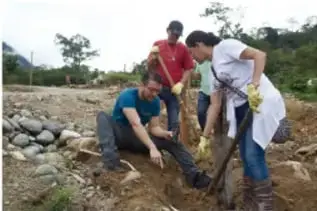 Personas plantando árboles en comunidad, ejemplo de participación ciudadana.