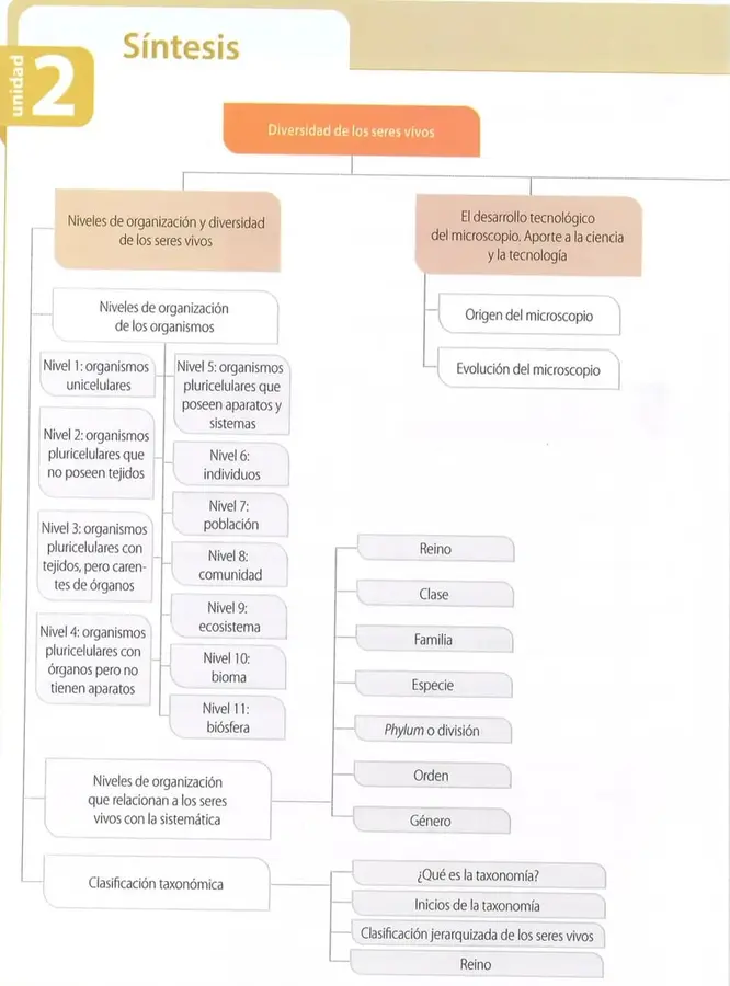 Figura 1 de Ciencias Naturales 8° · Egb 8 Ciencias Naturales 2025 · 2025