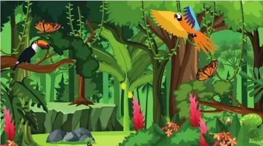 Ilustración de un tucán y un guacamayo amarillo-azul-naranja entre la vegetación de la selva.