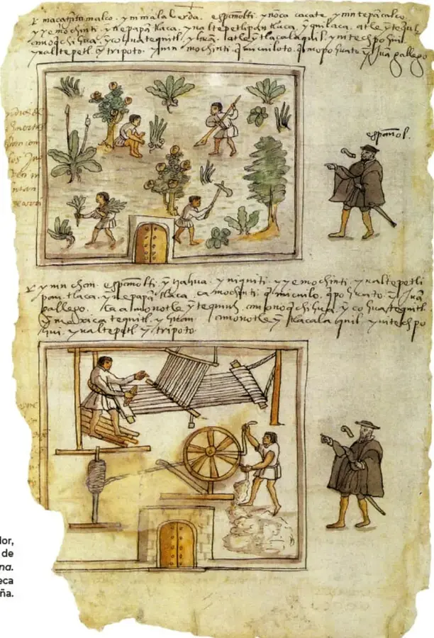 Folio 38v del Códice Osuna (1565): dos paneles de pintura indígena; el superior muestra labores agrícolas (siembra, cultivo) y el inferior artesanía textil (telar y rueca), ambos con presencia de autoridades españolas. Rodeado de texto en escritura cursiva colonial.