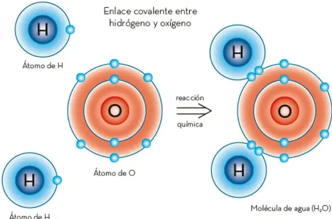 Esquema de la formación del enlace covalente entre dos átomos de hidrógeno y un átomo de oxígeno. Se observan los átomos de H con su electrón externo y el átomo de O con su capa de valencia; una flecha indica la reacción química que da como resultado la molécula de agua (H₂O).