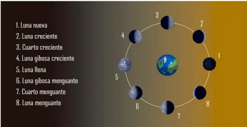 Fotografía de las fases lunares: ocho imágenes de la Luna en distintas fases (llena, creciente, menguante) dispuestas en dos columnas.