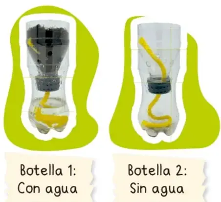 Vista superior de una botella con tierra y 10 semillas de lenteja colocadas sobre la superficie