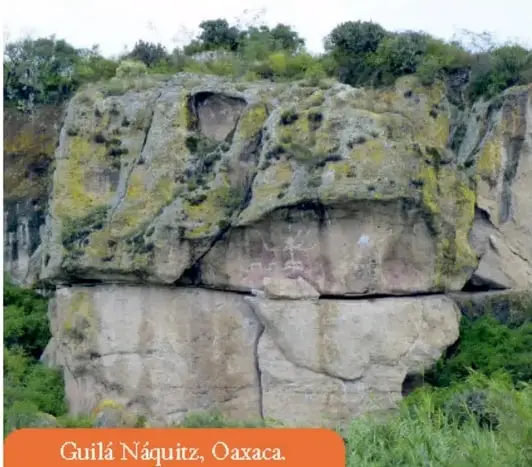 Abrigo rocoso de Guilá Náquitz, Oaxaca, con vegetación y paredes de piedra.