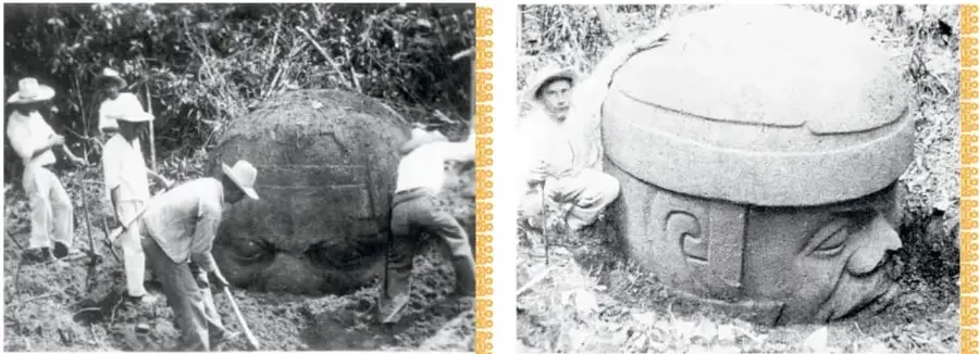 Fotografía en blanco y negro de arqueólogos y trabajadores con sombrero que excavan una cabeza olmeca entre la selva, con herramientas.