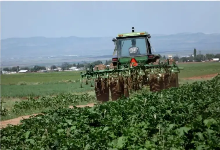 Fotografía de un tractor verde realizando labores de labranza en un campo de cultivo, con montañas al fondo y cielo despejado.