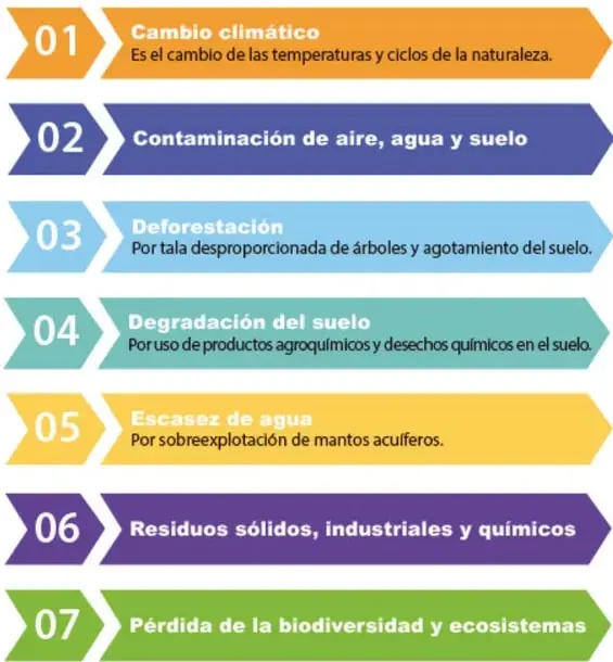 Infografía de 7 flechas con bandas de colores (01 a 07) que listan los problemas ambientales provocados por los sistemas técnicos.