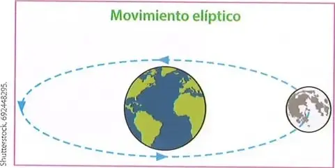Figura 1 de Ciencias Naturales 8° · Egb 8 Ciencias Naturales 2025 · 2025