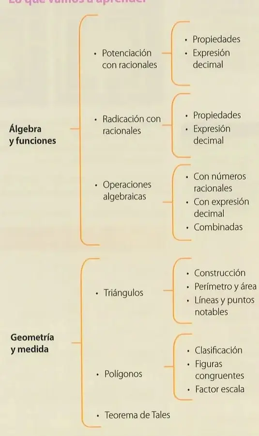 Imagen relacionada con el reciclaje y el cuidado del medioambiente.