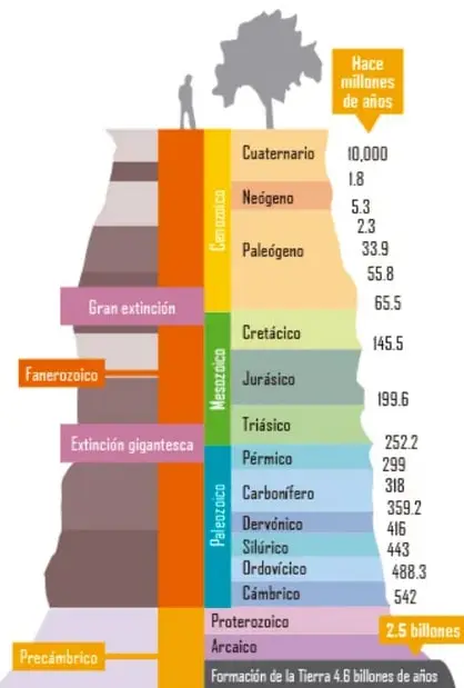 Figura 1 de Nuestros saberes: Libro para alumnos, maestros y familia. Libro de Educación Primaria Grado 3° Ciclo Escolar 2025 - 2026