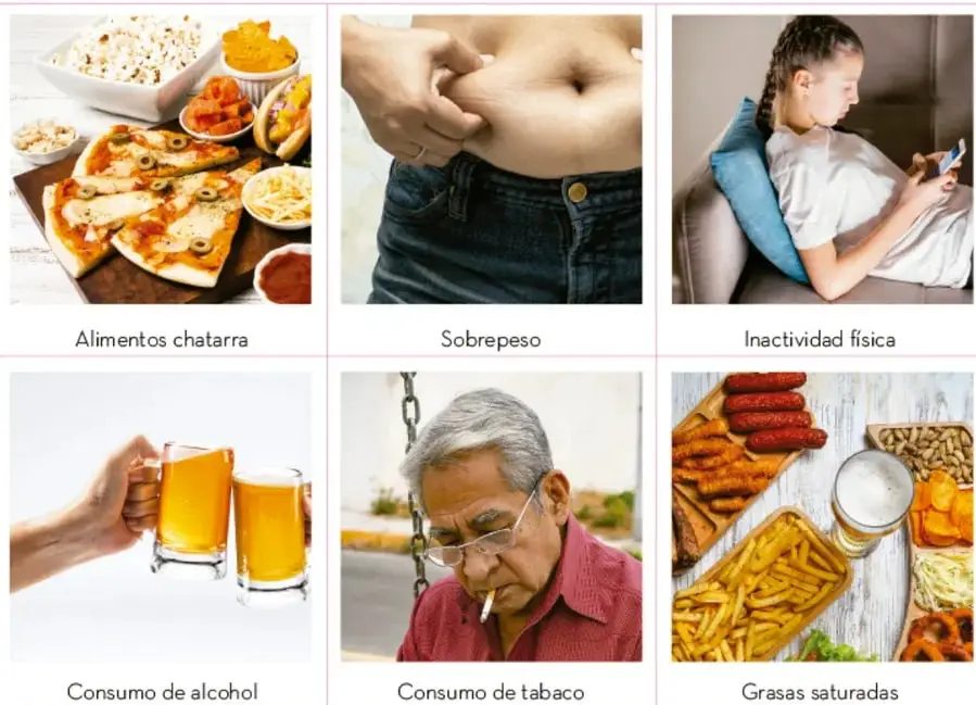 Seis fotografías con rótulos: pizza y comida ultraprocesada (alimentos chatarra), persona tocando abdomen con exceso de grasa (sobrepeso), niña sentada en sillón usando teléfono (inactividad física).