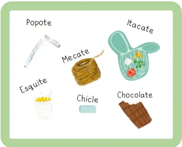 Recuadro verde con ilustraciones de seis objetos con palabras de origen indígena: popote (pajilla), itacate (red con comida), mecate (cuerda enrollada), esquite (vaso de maíz), chicle y chocolate. Crédito a Ana María Hernández Hernández, Ciudad de México.