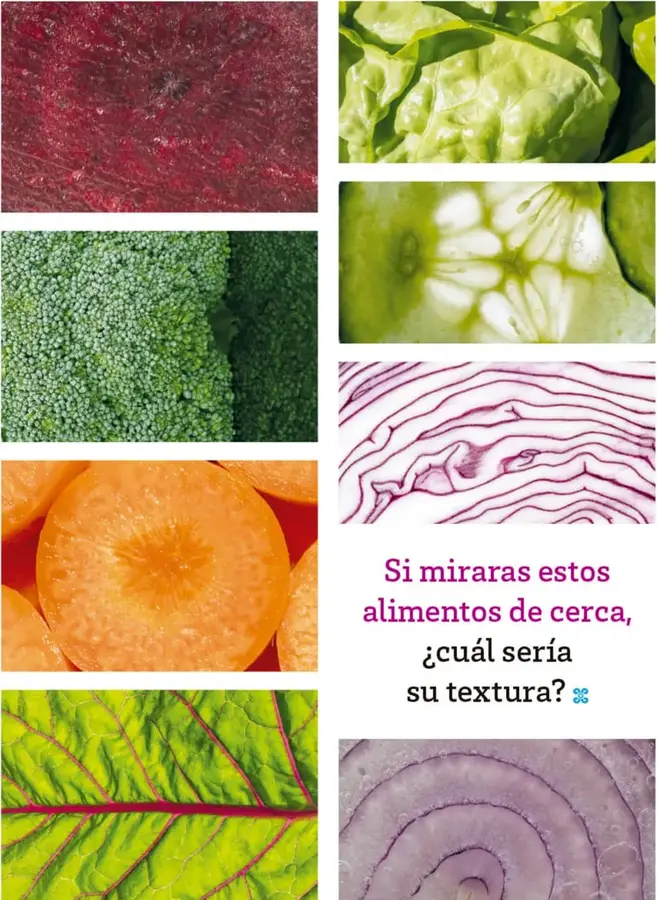 Figura 1 de Múltiples lenguajes. Libro de Educación Primaria Grado 2° Ciclo Escolar 2025 - 2026