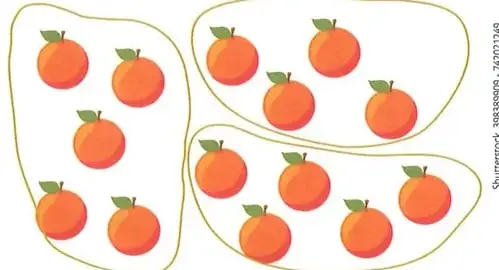 Naranjas organizadas en grupos de cinco.