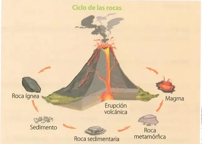 Figura 4 de Ciencias Naturales 10° · 2025