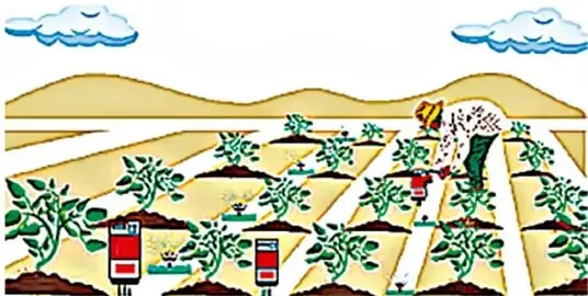 Campo con cultivo y diversos instrumentos o herramientas de monitoreo y riego distribuidos entre las plantas.